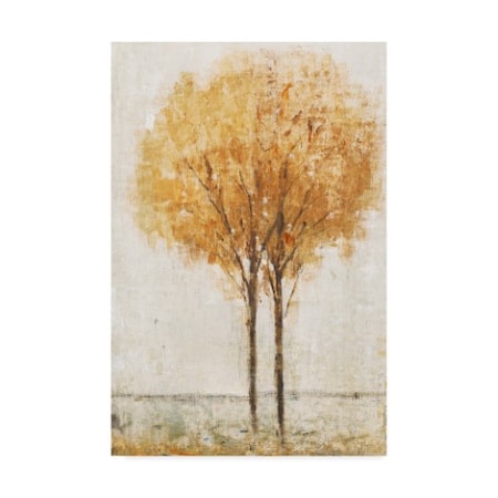 Tim Otoole 'Falling Leaves I' Canvas Art,16x24